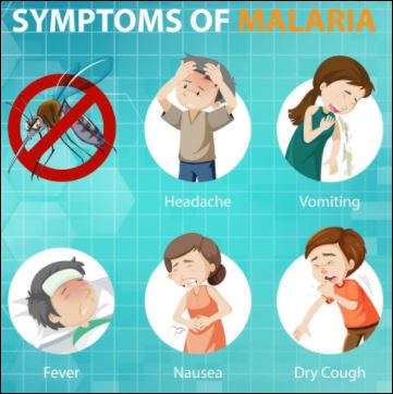 Malaria- Tanda, Komplikasi, Rawatan Dan Juga Pencegahan - TCER.MY