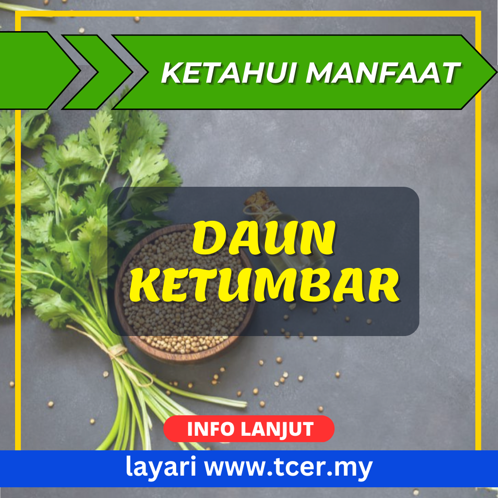 8 Khasiat Daun Ketumbar Yang Anda Mesti Tahu - TCER.MY