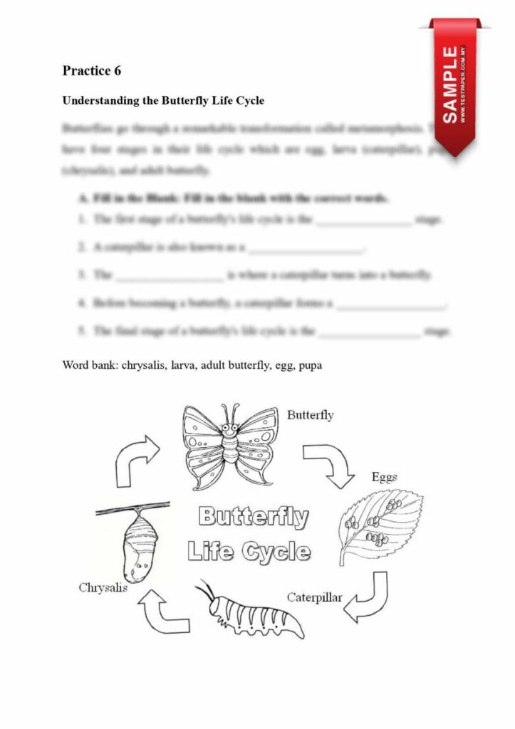 SCIENCE ENRICHMENT PRACTICE YEAR 1-2-3 YANG MENARIK 7