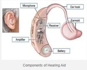 Hearing Aid: Fungsi, Gaya, Komponen, Ciri Tambahan & Tips Penggunaan 3